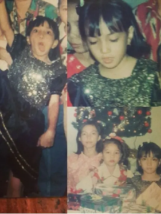 Shandy Aulia (Instagram/shandyaulia)