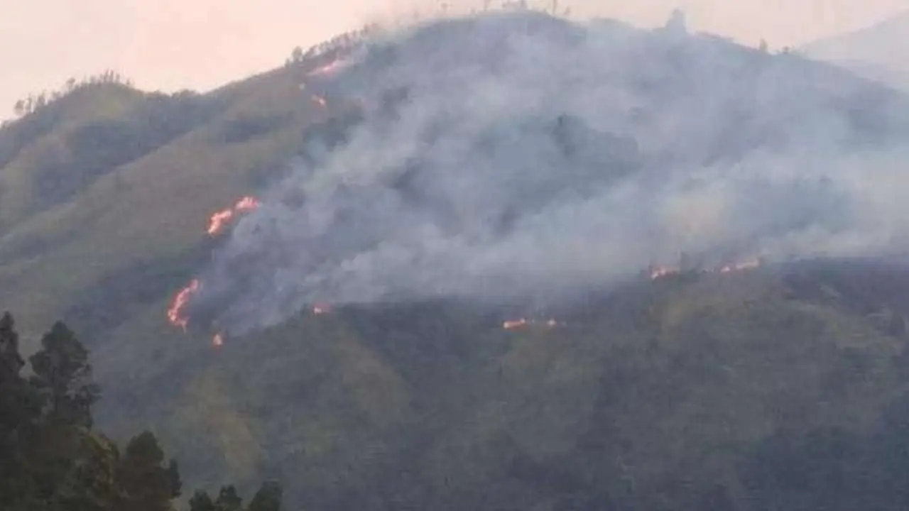 100 Hektare Hutan Gunung Lawu Terbakar, Berpotensi Meluas