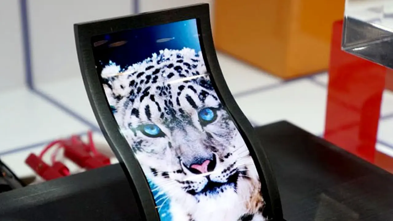 lg-131024b.jpg
