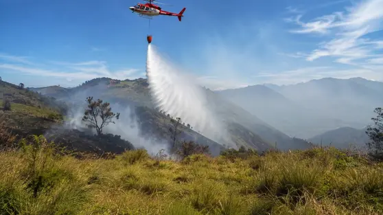 Kebakaran Bromo Tembus 899 Hektare, Tim Pemadam Gempur Titik Api Tersisa