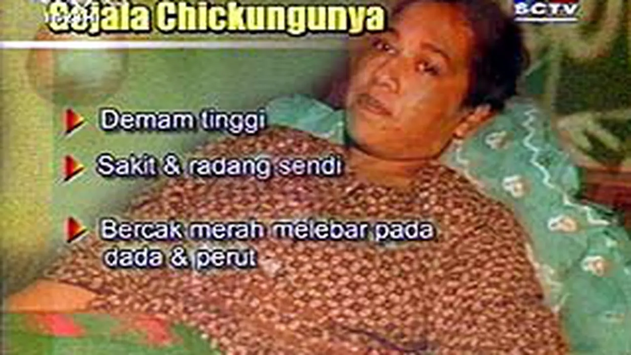 120203bCikungunya.jpg