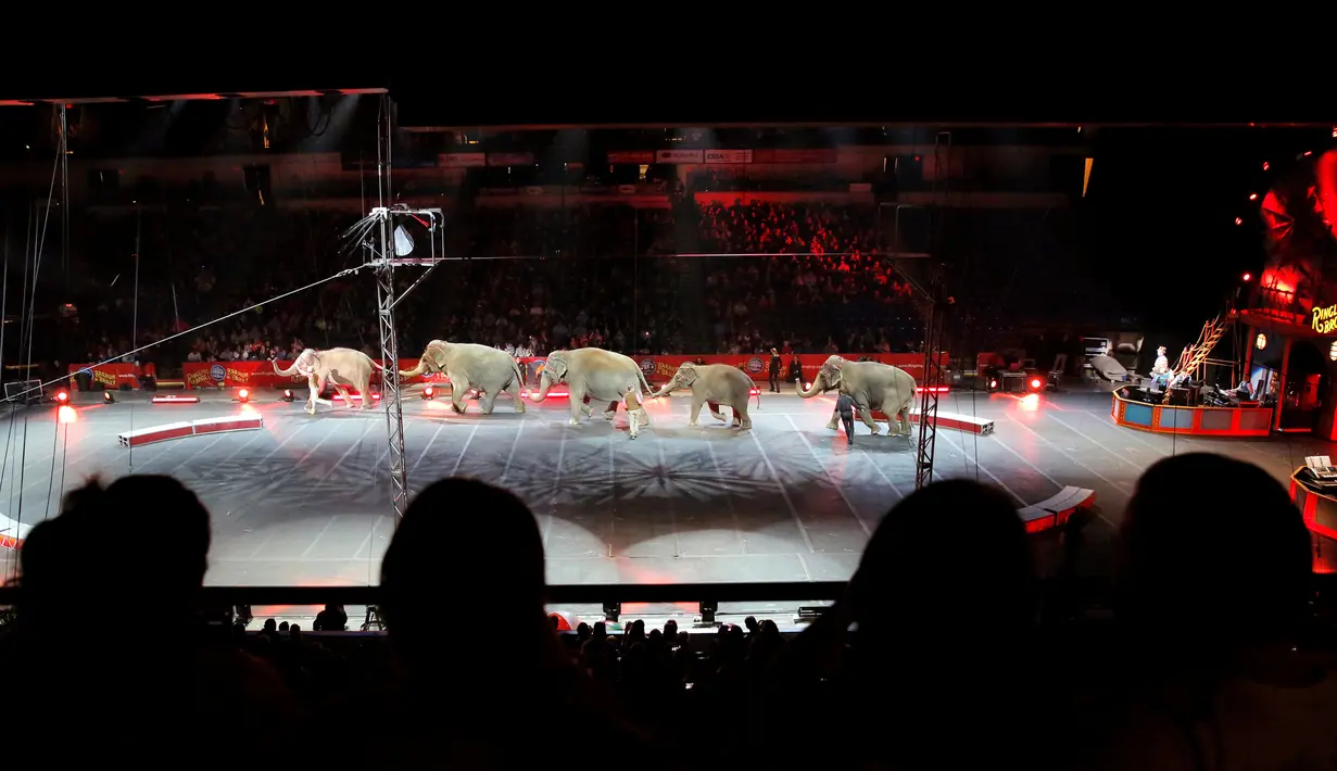 Suasana keramaian sirkus gajah bertajuk " Circus Extreme " di Casey Plaza, Pennsylvania , AS , 30 April 2016. (REUTERS / Andrew Kelly)