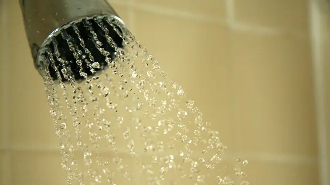 Ilustrasi kepala pancuran mandi. (Sumber Flickr)