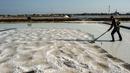 Petani memanen garam di Sidoarjo, Jawa Timur, 16 September 2019. Menurut petani, meningkatnya produksi garam saat musim kemarau dari lima ton menjadi delapan ton per minggu, mengakibatkan harga garam di tingkat petani tradisional untuk kualitas nomor satu menurun. (Juni Kriswanto/AFP)