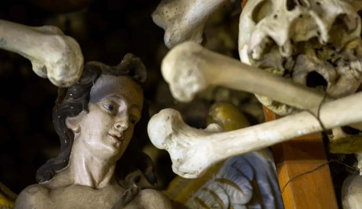 Tengkorak terlihat di Gereja St Bartholomew di Distrik Czermna, Polandia, (31/10). Gereja ini menyimpan tengkorak manusia yang meninggal karena Perang 30 Tahun (1618-1648), Perang Silesian I II III, dan wabah kolera. (AFP Photo/Natalia Dobryszycka)