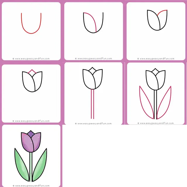 Cara menggambar bunga tulip