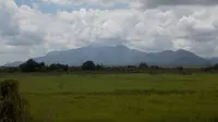 Gunung Palung di Kalimantan. (Dok: Gunung Bagging https://www.gunungbagging.com/palung/)