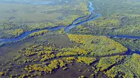 World Wetlands Day 2026: What Is It &amp; Why Is It Important