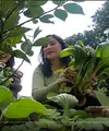 Kebun sayur Prilly Latuconsina (Youtube/ Prilly Latuconsina)
