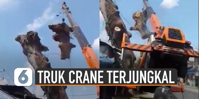 VIDEO: Viral Video Truk Crane Terjungkal Saat Mengangkat Potongan Pohon
