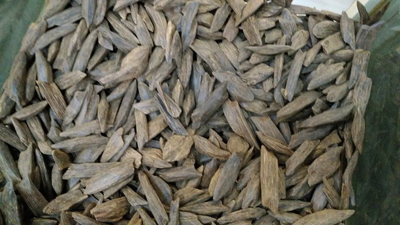 kayu gaharu