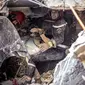 Petugas penyelamat mencari korban selamat di rumah yang runtuh pasca gempa bumi Maroko di Moulay Brahim, provinsi Al Haouz, Sabtu (9/9/2023). (FADEL SENNA / AFP)