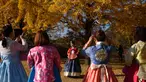 Pengunjung yang mengenakan pakaian tradisional hanbok berpose untuk foto di bawah pohon ginkgo di istana Gyeongbokgung di Seoul (31/10). Pohon Ginkgo yang berasal dari Tiongkok ini dikenal sebagai pohon rambut gadis. (AFP Photo/Ed Jones)