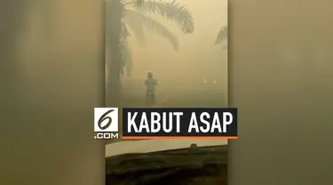 Akibat kebakaran hutan yang terjadi di Kalimantan, kini kota tersebut alami gangguan jarak pandang akibat kabut asap tebal yang menyelimuti. Beredar viral di media sosial, sebuah video pengendara motor yang menabrak pohon sawit akibat gangguan jarak ...