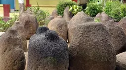 Survei Pohon Durian Berujung Hilangnya Batu Bersejarah Era Medang di Jember