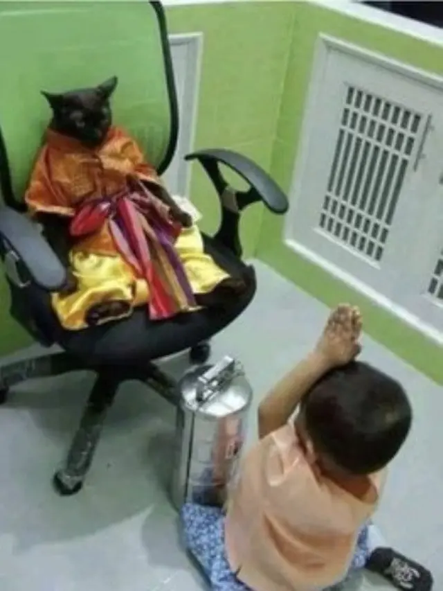 Meme Kucing Menguasai Dunia