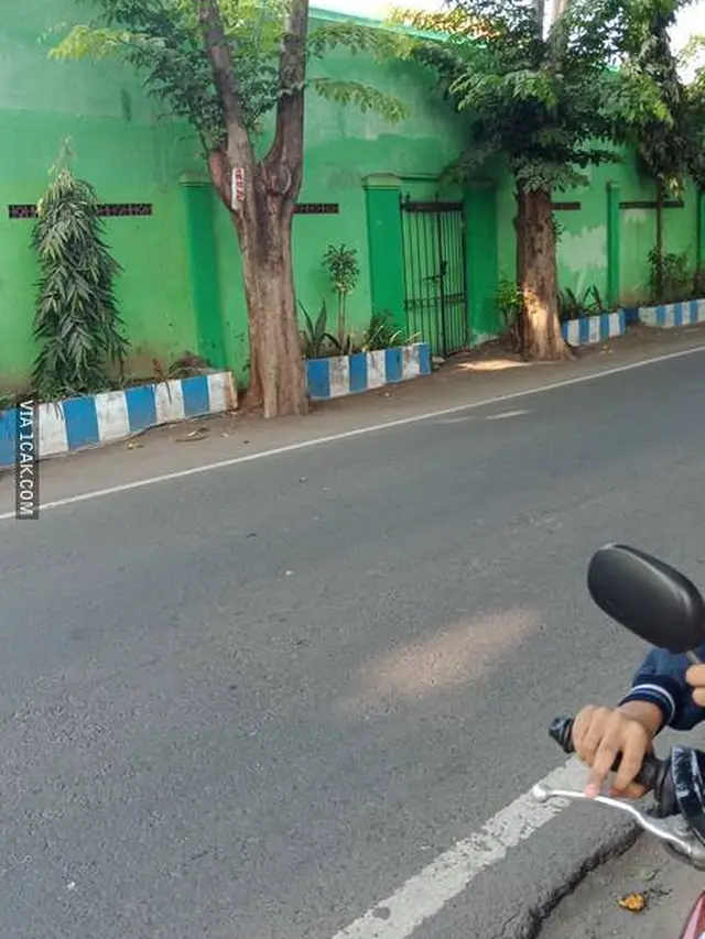 6 Pagar Rumah Ini Nyeleneh Banget, Bikin Gagal Paham