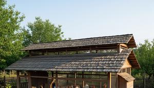 Model Kandang Ayam Semi Umbaran Biar Ayam Lebih Sehat dan Cepat Besar (AI)