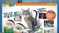 Latih Kucing Buang Air di Toilet, Untungnya Miliaran Rupiah
