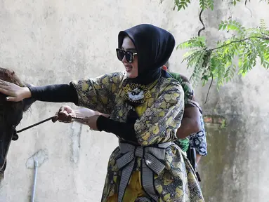 Penyanyi Syahrini saat melihat sapi yang akan dikurbankan dikediamannya di kawasan Bogor, Jawa Barat, Senin (12/9). Syahrini berharap saat Idul Adha tahun depan bisa berkurban lebih dari 3 sapi. (Liputan6.com/Herman Zakharia)