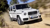 Mercedes-AMG G63, Beauty and The Beast