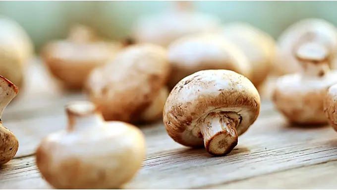 Courtesy ShutterStock.com