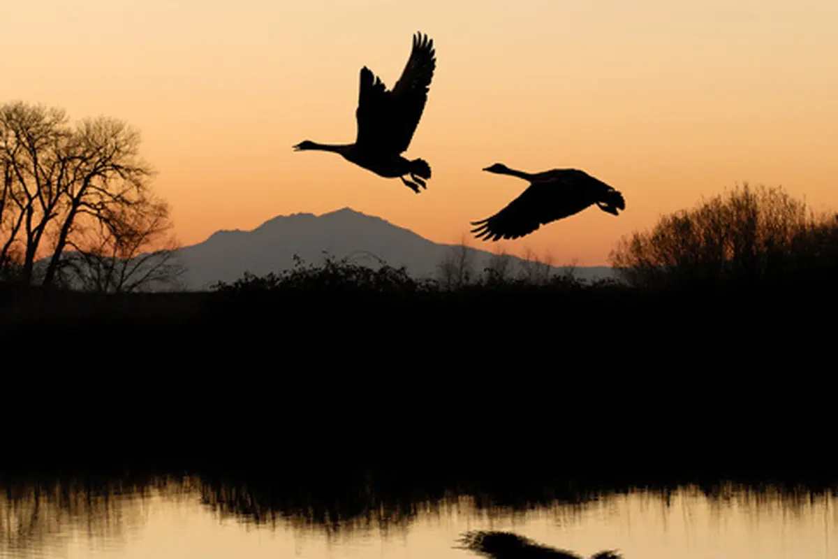Ilustrasi (c) shutterstock
