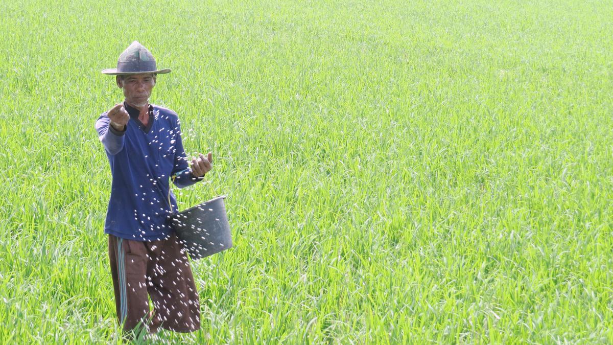 DPR Bentuk Panja Pengawasan Distribusi Pupuk Bersubsidi, Ini Fungsinya