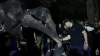 Surabaya Night Zoo Segera Bisa Dinikmati Juni 2023, Cek Harga Tiketnya