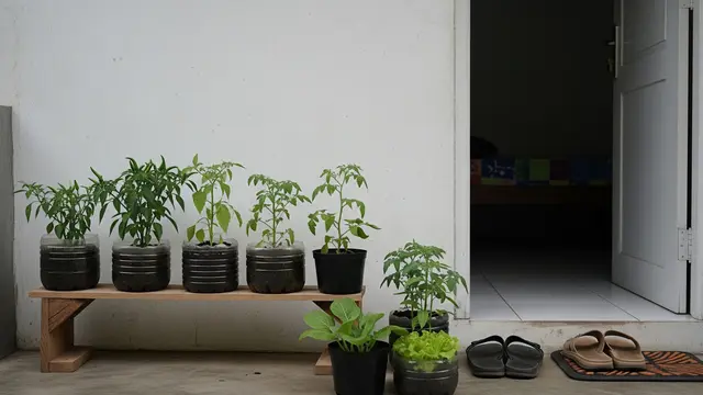Ilustrasi Berkebun di Depan Kamar Kos