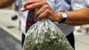 Aktivis Ray Turmel membawa plastik berisi ganja medis di luar gedung pemilihan federal Munk Debat, Toronto, Kanada (28/9/2015). Ray Turmel  menginginkan ganja di negaranya dilegalkan untuk kepentingan medis. (REUTERS/Mark Blinch)