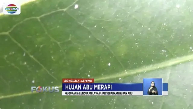 Guguran Lava Pijar Gunung Merapi, Selimuti 2 Kecamatan di Boyolali
