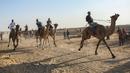 Peserta joki  bersaing dalam perlombaan balap unta lokal di Rafah, Jalur Gaza selatan (20/10/2019). Balapan unta ini menggunakan lintasan bekas landasan bandara Gaza yang sudah hancur di Rafah, Gaza selatan. (AFP Photo/Said Khatib)