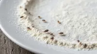 7 Cara Menghilangkan Kutu di Tepung Roti, Mudah Dilakukan di Rumah