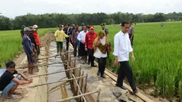 Presiden Joko Widodo berserta rombongan saat blusukan ke pembangunan saluran irigasi tersier di Bendungan Irigasi Tersier Desa Mandor Kabupaten Landak, Kalbar, Selasa (20/1/2015). (Rumgapres/Agus Suparto)