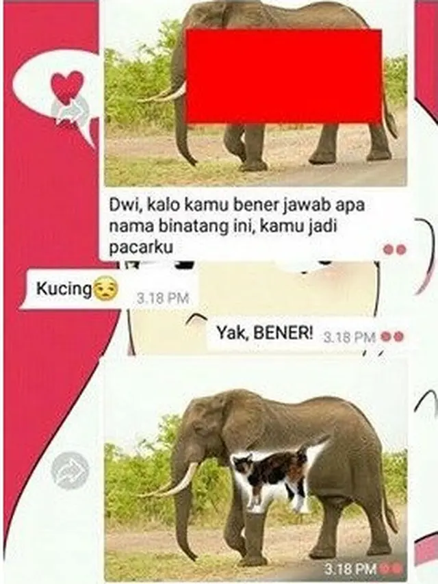 6 Tragedi Chat Tanda Dia Enggak Suka Kamu Ini Bikin Nyesek