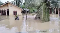 Penampakan banjir di Aceh (Ist)