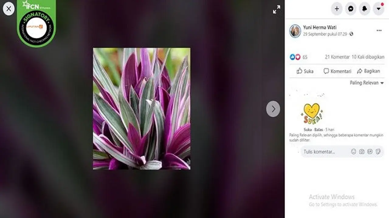 Gambar Tangkapan Layar Foto Daun Adam Hawa (sumber: Facebook)