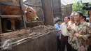 Menteri Pertanian, Amran Sulaiman meninjau pasar murah beras dan sapi di Gudang Bulog, Jakarta, Selasa (22/9/2015). Sebanyak 30 truk beras dan sapi didistribusikan ke sejumlah pasar tradisional DKI. (Liputan6.com/Faizal Fanani)