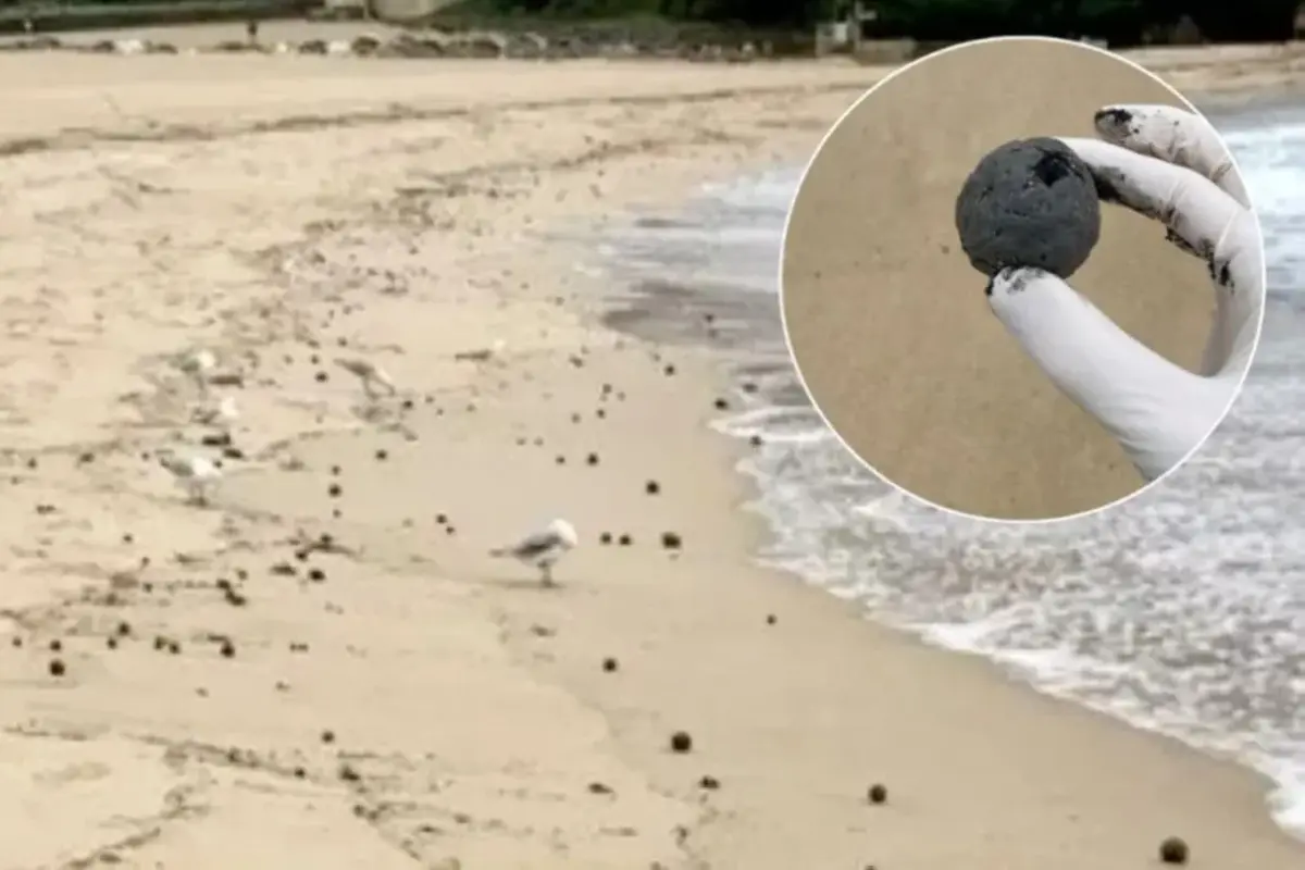 Ratusan benda misterius berbentuk bola seukuran bola golf hingga bola kriket terlihat berserakan di sepanjang pasir pantai di Sydney Australia. (Facebook/RandwickCityCouncil)