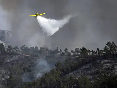 Sebuah pesawat pemadam kebakaran menjatuhkan air di atas api di Odeceixe, selatan Portugal, Selasa (8/8/2023). Ratusan petugas pemadam kebakaran berusaha memadamkan api yang berkobar di Portugal selatan yang telah menghanguskan ribuan hektare lahan dan menyebabkan sekitar 1.400 orang dievakuasi untuk berjaga-jaga. (Patricia DE MELO MOREIRA/AFP)