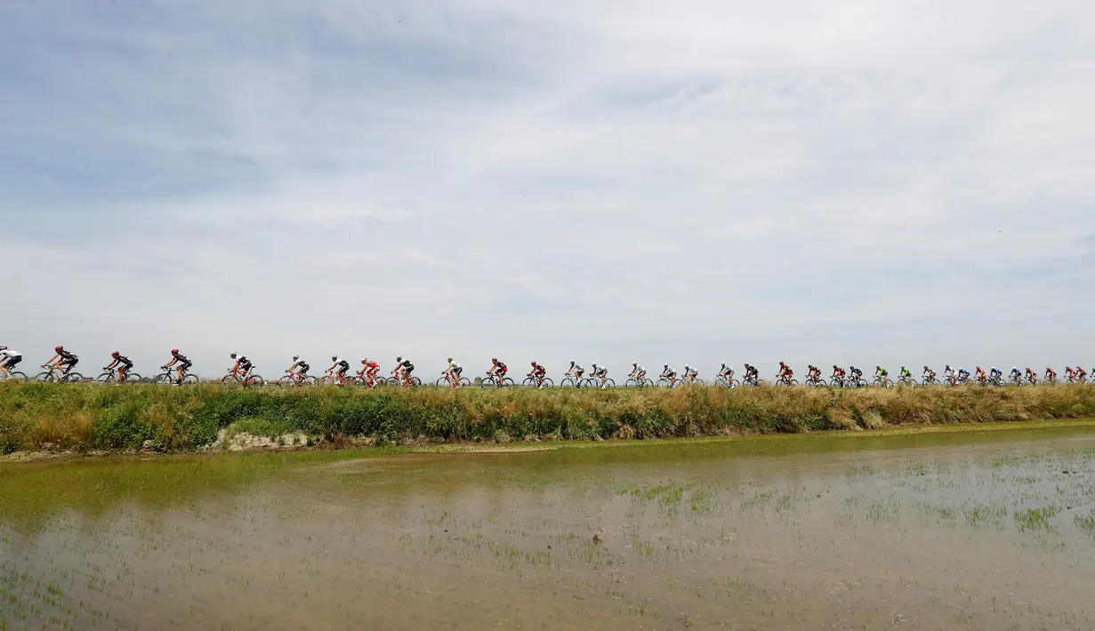 Deretan pebalap beraksi di Etape 18 Giro d'Italia dari Muggio ke Pinerolo. (26/5/2016). (AFP/Luk Benies)