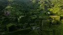 Pemandangan di desa yang ditutupi tumbuhan di Houtouwan di pulau Shengshan, provinsi Zhejiang, China (1/6). Houtouwan adalah sebuah tempat yang penduduknya bekerja sebagai nelayan.  (AFP/Johannes Eisele)