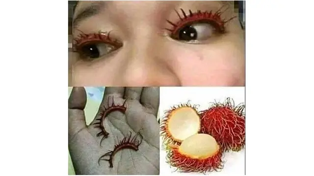 emak low budget
