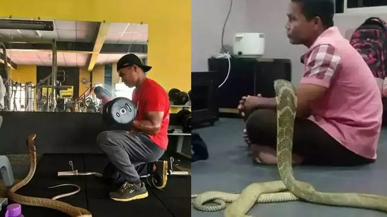 Enggak Ada Takutnya, Ini 8 Potret Akrab Manusia Bareng Ular yang Bikin Bergidik