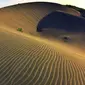 Gumuk Parangkusumo di Pantai Parangtritis , Yogyakarta (sumber. Jogja.co)