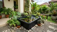 Tips Membuat Kolam Ikan Dangkal Tanpa Sudut Tajam Aman Buat Balita dan Tetap Indah