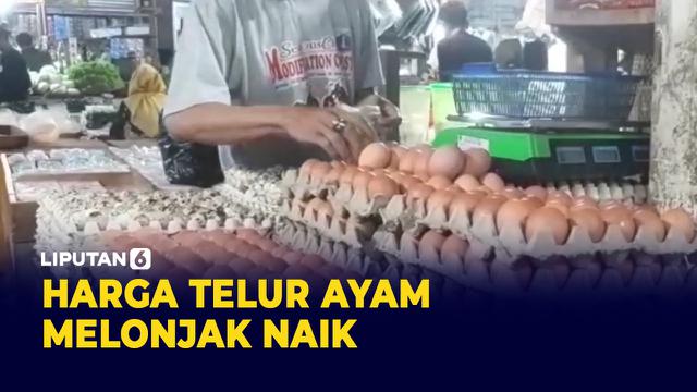 Harga Telur Ayam Naik, Pedagang: Omset Turun 25 Persen