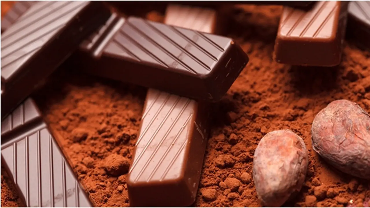 Foto : copyright shutterstock.com