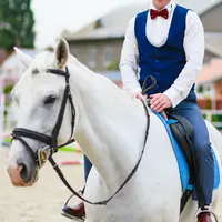 Bak Pangeran, Driver Ojek Online Ini Antarkan Pesanan dengan Kuda Putih. (Shutterstock/Vitaliy Karimov)